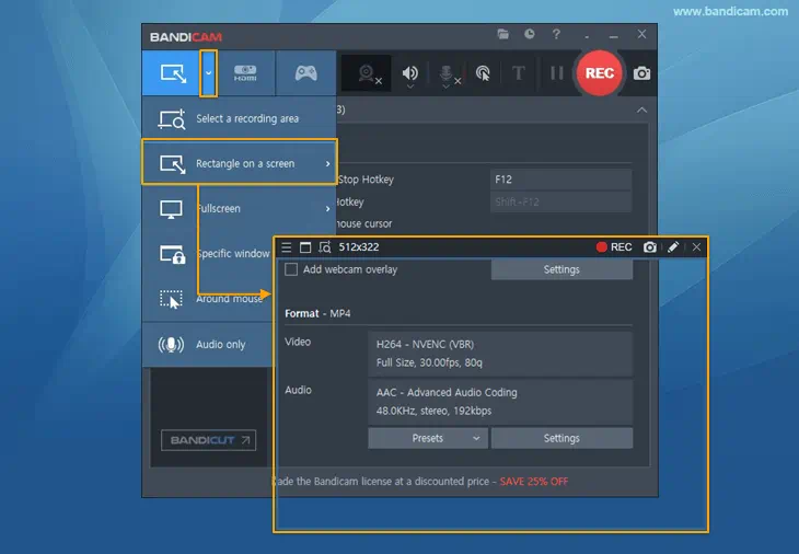 'Screen Recording' mode